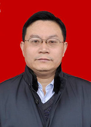 杨尚文炉观镇党委书记